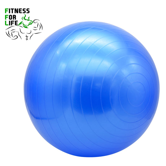 65 cm Yoga Ball